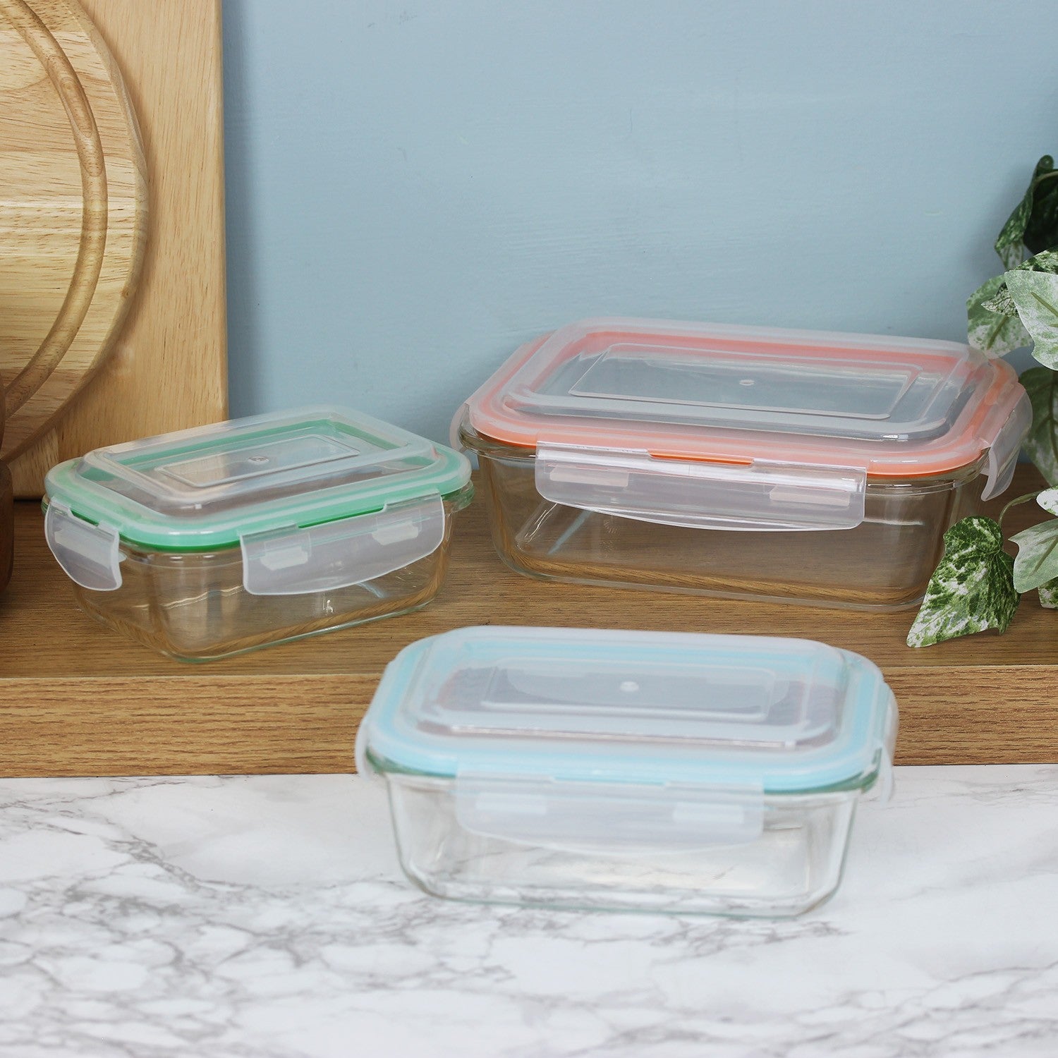 3Pcs Freska Borosilicate Glass Lunch Boxes Food Container Airtight Plastic Lid
