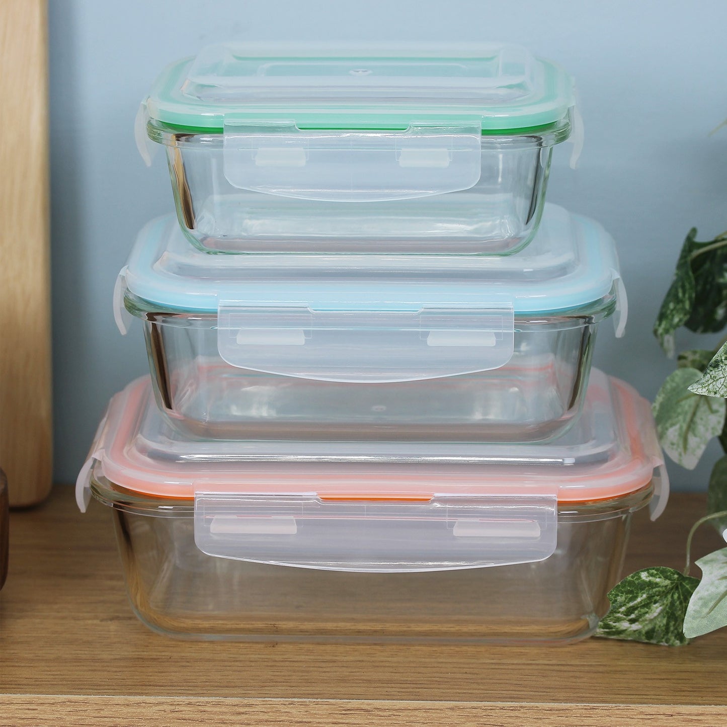 3Pcs Freska Borosilicate Glass Lunch Boxes Food Container Airtight Plastic Lid
